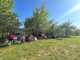 Orchard