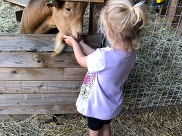 The loveliest little goat ever!