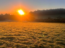 Morning view
