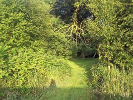 Path on treasure hunt