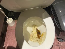 Most of the toilets were left blocked all during our stay