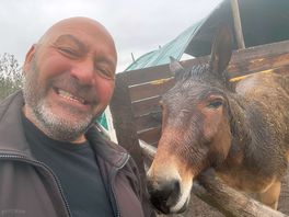 Meet mr ed on the farm