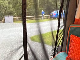 View through our new midge nets towards the river ceiriog
