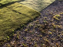 The astroturf.