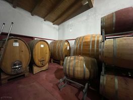 Wine tasting tour
