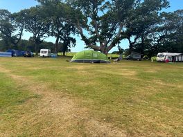 Our pitch