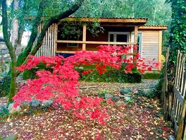 Lodge exterior