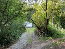 A glamping tent in the wood.
