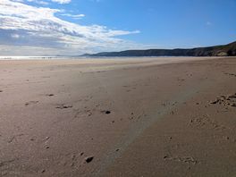 White sand beach
