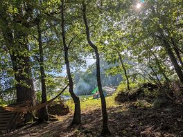 View from the leafy bottom clearing
