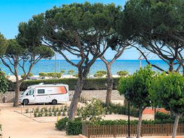 'Sleep and go' pitches under the trees