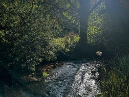 River running through he campsite