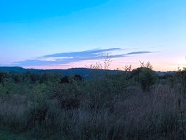 Evening view