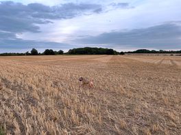 One of the lovely walks to a nearby pub