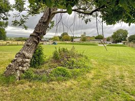 Camping area