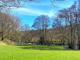 Camping field shaded by trees