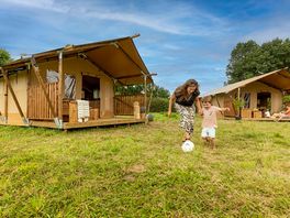 Safari tents