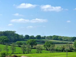 View from the van