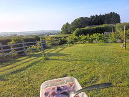 Breakfast with a view.