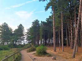 Beach path