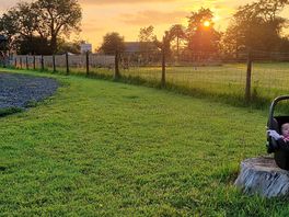 Sunset views