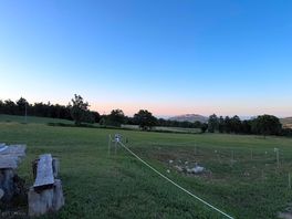 Open field for tents and relaxation