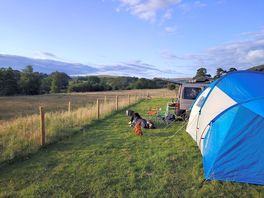 Tent chair field