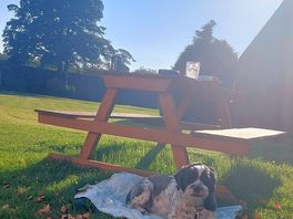 Enjoying the evening sun