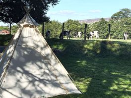 Camping in the country