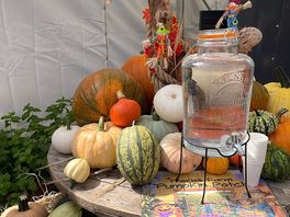 Getting ready for autumn!