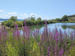 Lac