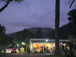 Noche