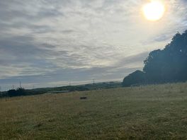 Morning sunrise over the field