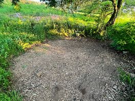 Where i pitched my tent.