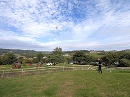 View from the dog park