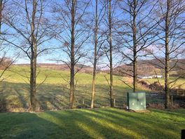 Even had some february sunshine!