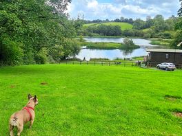 Looking down to fishing lake