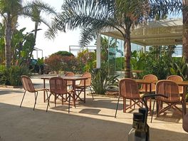 Zona de bar