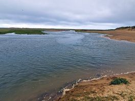 The estuary starting to fill. another swimming spot for the woofa.