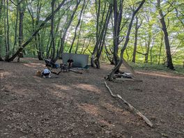 Camp