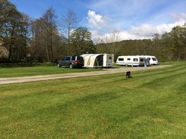 Spacious pitches suitable for units up to 6.5 metres