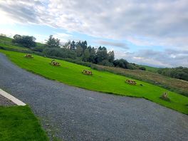 Big open space for playing and socialising