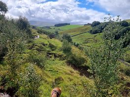Great hiking 🚶♂️
