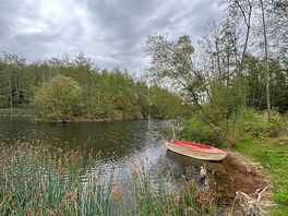 Pond