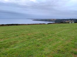 View looking towards maenporth
