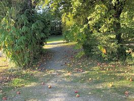 Appelboom