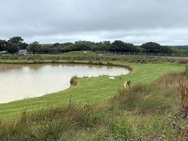 A bit muddy but we had a lot of rain.