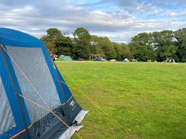 Pitch view