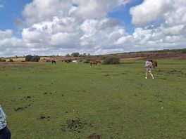 The field across the road