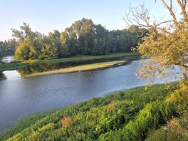 Great spot.